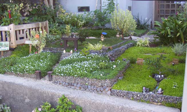 Prowell's Bonsai Miniature Garden