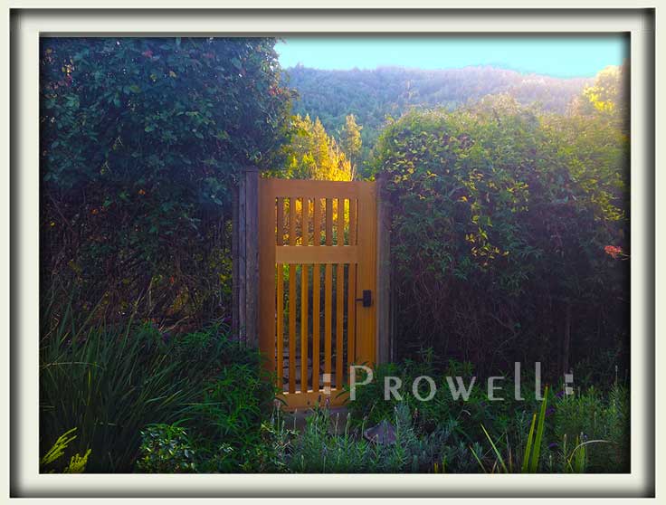 site photo showing gate design #40-4 in Marin County. prowell