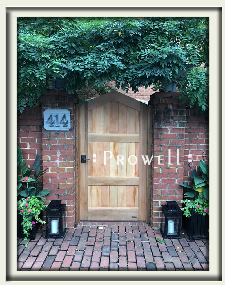 site photograph showing the wood privacy gate #82-3 in Washington DC. Prowell