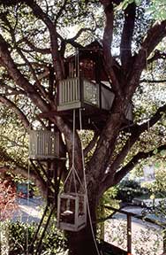 The PROWELL TREEHOUSE
